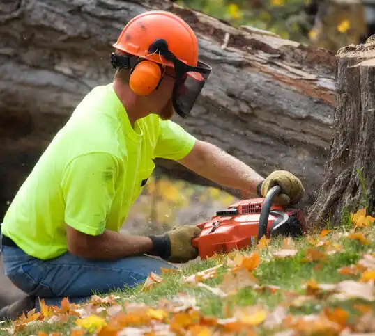 tree services O'Fallon